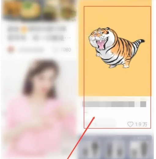 小红书号怎么搜索