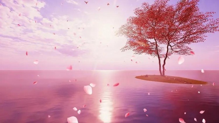 支付宝才是最好的相亲平台