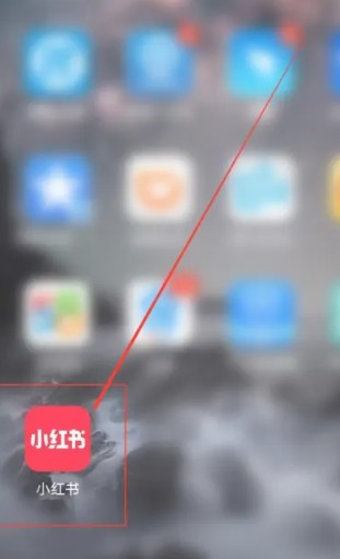 怎样查别人的小红书号？